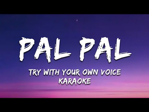 Pal Pal Lyrics Afusic Prod By AliSoomroMusic Try With Your Own Voice Karaoke 
