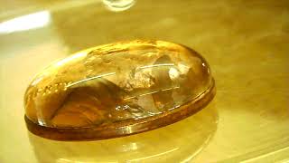 Properties of Water: Cohesion and Adhesion in Action