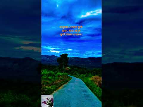 Beauty of Nature #foryou #shorts #viralvideo #viralreels #nature