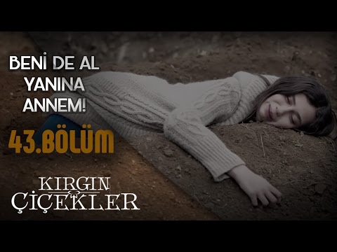 Kırgın Çiçekler 43.Bölüm - Beni de al yanına!