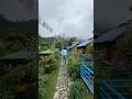 Day 3 Vlog Coming Soon 🌧️ #travelvlog #mountainscalling #heavenonearth #clouds #monsoonvlog #vlog