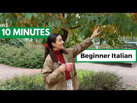 I speak ONLY ITALIAN, but you'll understand