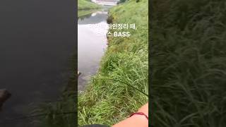 배스낚시 : 포인트는 착수음을 최소~~화 하는 것 bassfishing southkorea bass