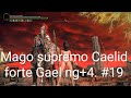 Elder ring mago supremo Caelid forte Gael ng+4.#19