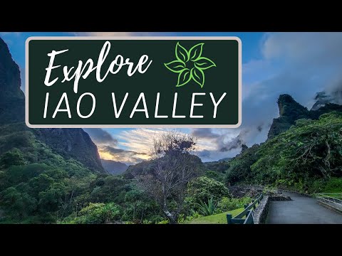 Video: Iao Valley looduspark Mauil, Hawaiil