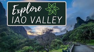 Iao Valley State Park: Best Easy Family Day Hike On Maui  Explore The Lush Iao Valley With Us!