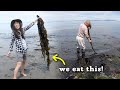 COASTAL FORAGING 🦀 Butter Clams, Mussels, Seaweed, Crabs! CATCH & COOK Kelp Soup & Chowder