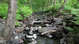 Dji Mini 3 Pro First Flight Footage