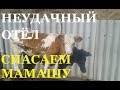 НЕПРИЯТНОСТИ в ХОЗЯЙСТВЕ # ЛИШИЛИСЬ ТЕЛЁНКА- СПАСАЕМ КОРОВУ