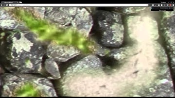 Texture splatting. THREE.js