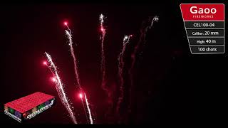 Gaoo Celebration 100 04