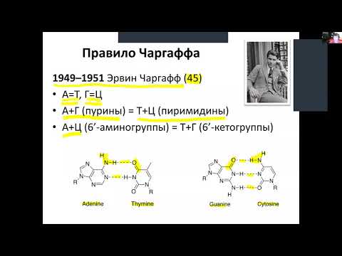 Видео: Артур Корнберг ДНХ полимеразыг хэрхэн нээсэн бэ?