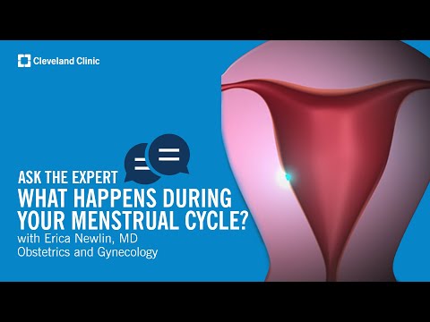 What Happens During Your Menstrual Cycle? | Ask Cleveland Clinic’s Expert