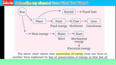 CHAPTER 7 BIOENERGETICS MAJOR CONCEPT AND INTRODUCTION || 9th CLASS BIOLOGY || MANSOOR ALI NAREJO