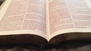 KJV Sword Study Bible UPDATE screenshot 5