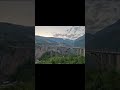 Early morning birds &amp; nature sounds