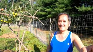 I came Ra's house how to put vinyl siding 08/30/2019