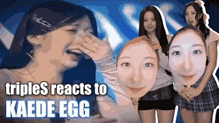 tripleS reacts to kaede egg in brooklyn 🥚