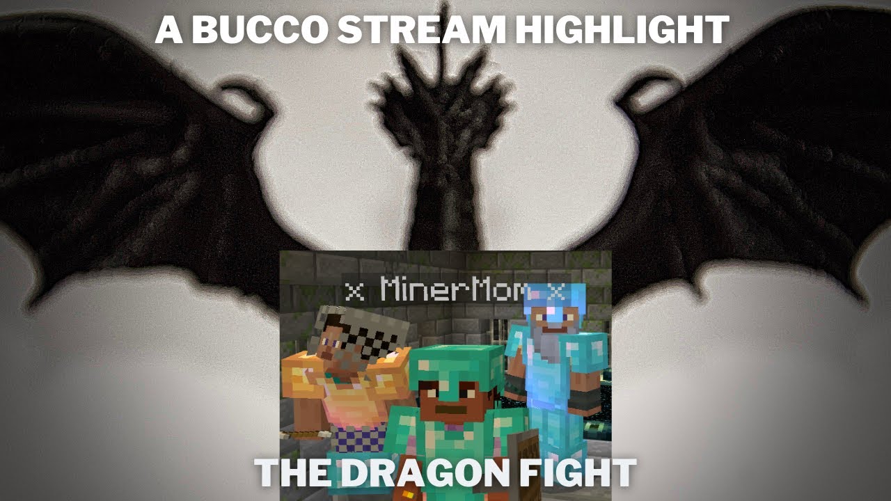 A Bucco Stream Highlight: The Realm of Risa 2 Dragon Fight - YouTube