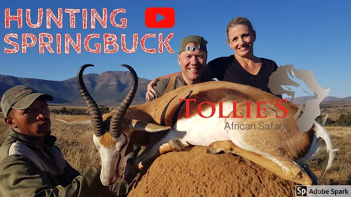 Hunting in Africa, Springbuck with Steven Houle at...