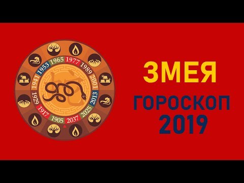 Змея в год Свиньи. Восточный гороскоп на 2019 год