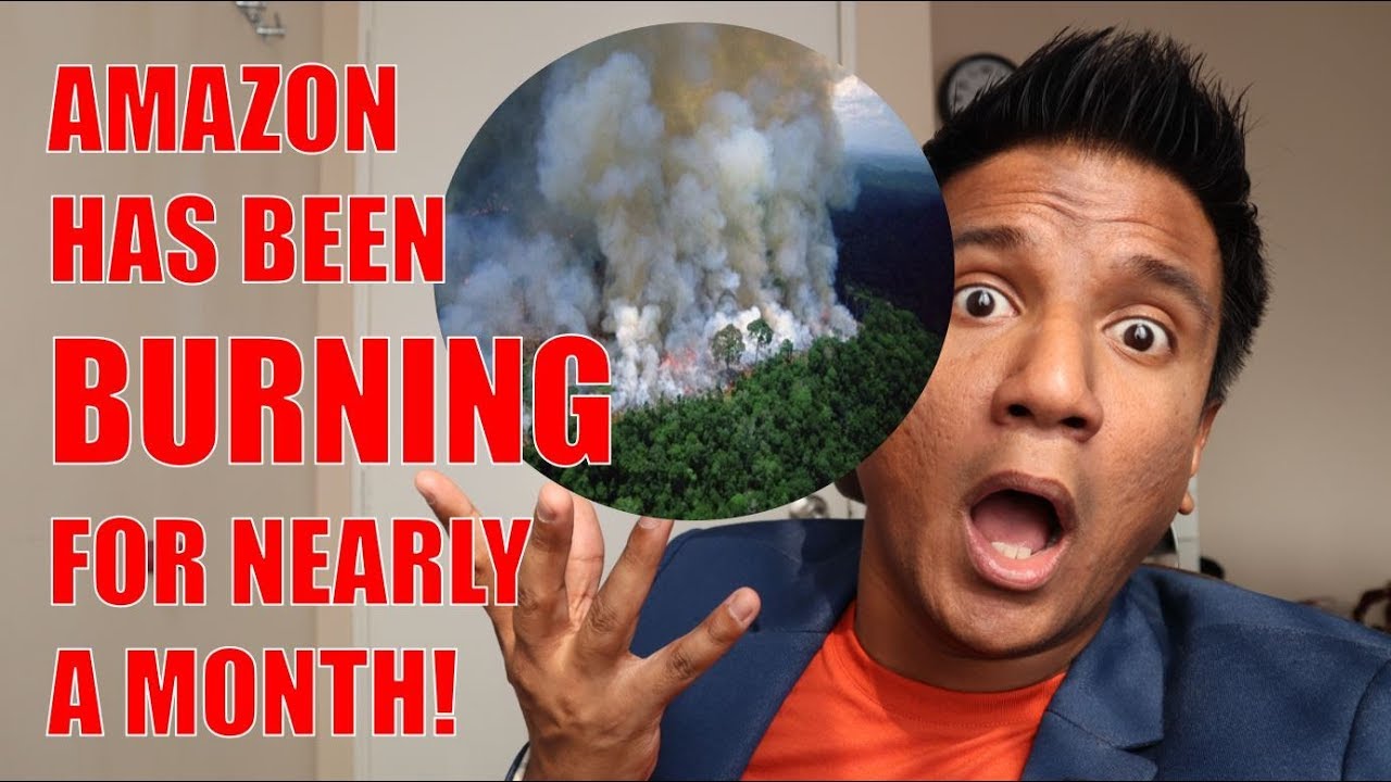 The Amazon Rainforest Is DYING & Not Many People Seem To Care! YouTube
