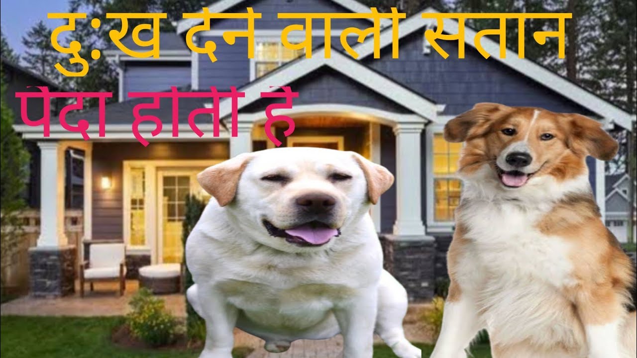 किस मांबाप मां बाप के घर में दुख देने वाली संतान पैदा होती हैं kis man baap ke ghar mein