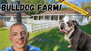 Building a Bulldog Farm!! Pet Turf Playground and Indoor/Outdoor custom kennel setup