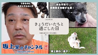 【最新映像回!!】きょうだいたちと過ごした日些細な1日が大切な記憶に…