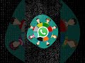 WhatsApp marketing strategy 2025 | whatsapp businesses | Marketing Guide.