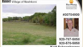 Village of Neshkoro WI Real Estate for Sale