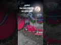 şehid Hacıyev Qilman Surxay oğlu 🇦🇿