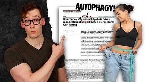 The Most Incredible Fasting Study I’ve Ever Read