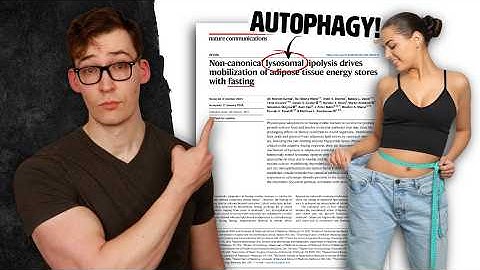 The Most Incredible Fasting Study I’ve Ever Read