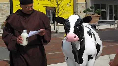 Dedham's J.P. Licks cow dedication