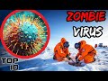 Top 10 Disturbing Viruses Scientists Found Frozen In Ice That Could End The World