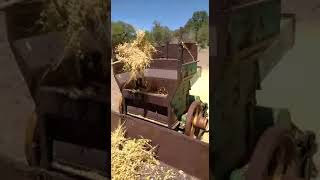 Patoz Işlemi Başlamıştır