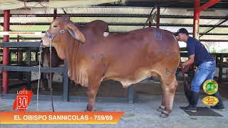 LOTE 30 / EL OBISPO SANNICOLAS - 759/69 - MBR1235948 | Fh Nace: 23 de junio de 2019