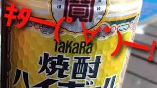 タカラ焼酎ハイボールレモン 最高(゜∇^d)!!