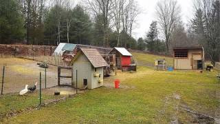 103 Tinkerville Rd video tour