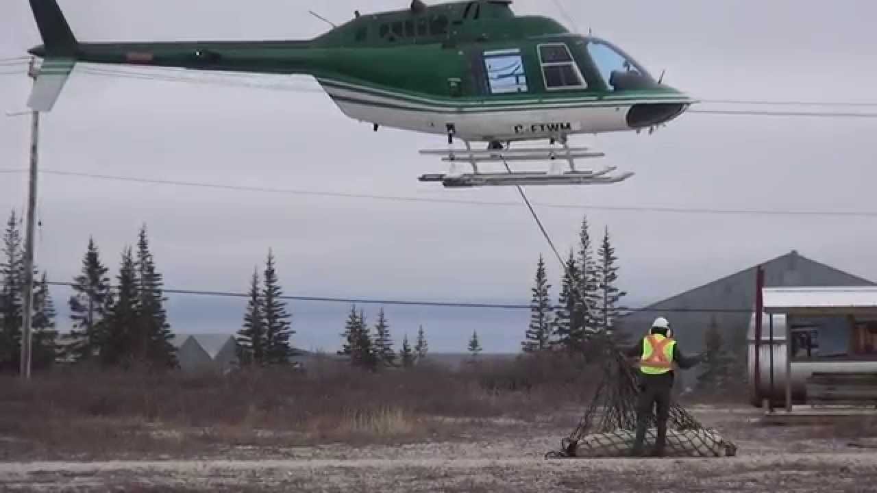 Canada - Een bezoek aan de "Polar Bear Capital of the World"