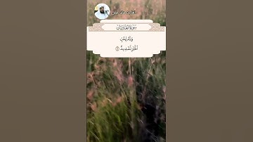 تلاوة خاشعة للقارئ الشيخ خالد جليل سورة (العاديات) آية 6_11