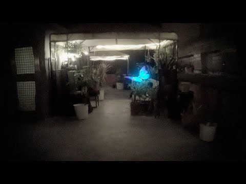 問題總部 It's Your Fault【 I’m Late, Already. (Intro) 】Official Music Video