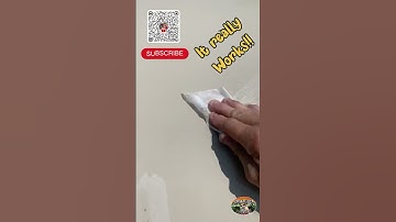 Use a Dryer Sheet to remove bugs from your RV #bugfree #awpawpaw #nopest #bugoff #bugclub #antibug