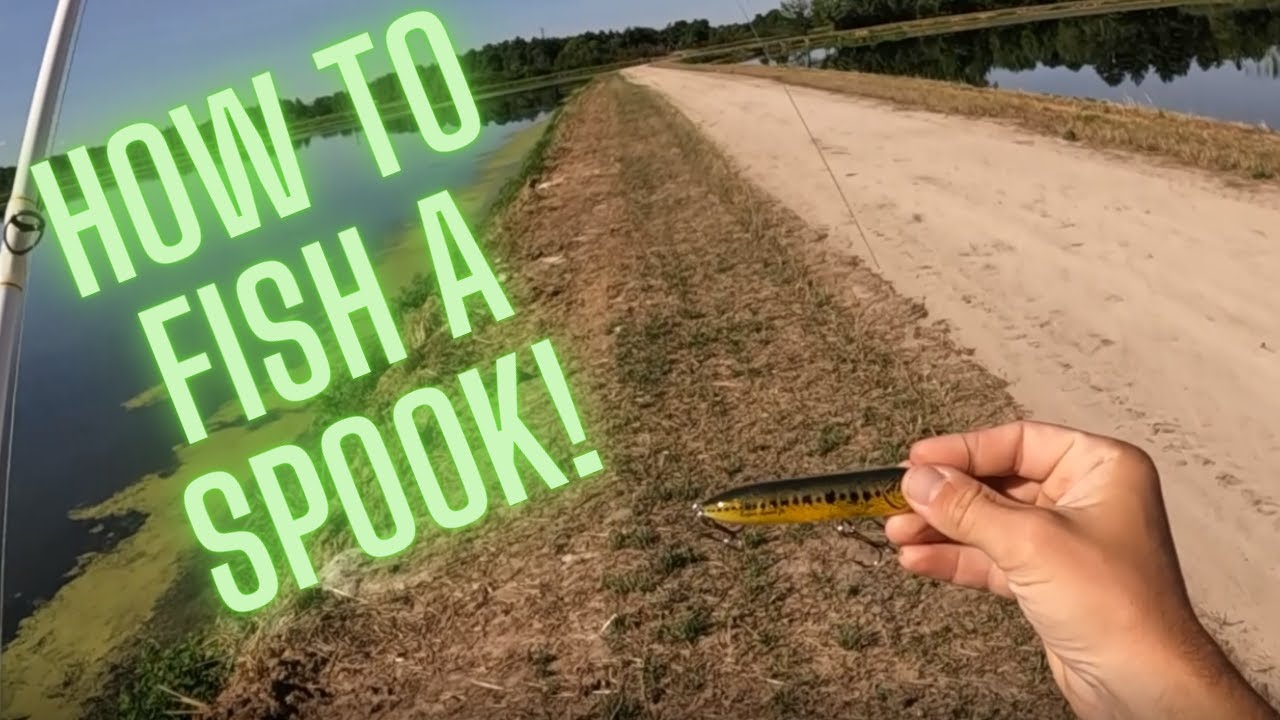 How to FISH a SPOOK for Beginners! YouTube