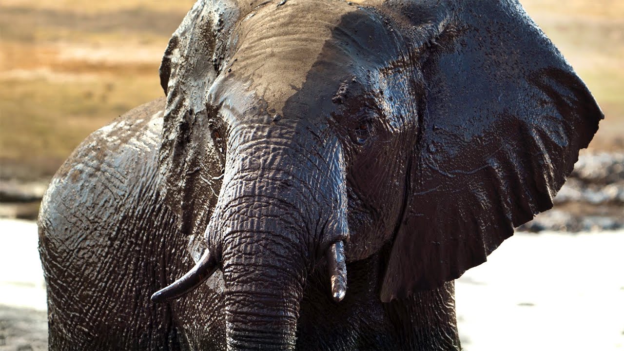 Redefine post-production performance with Angelbird's Card Readers PKT