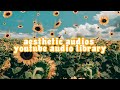 Aesthetic/Chill Music from Youtube Audio Library (copyright FREE)
