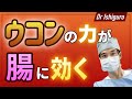 ウコン（ターメリック）が腸に効くー潰瘍性大腸炎の治療としての試験結果