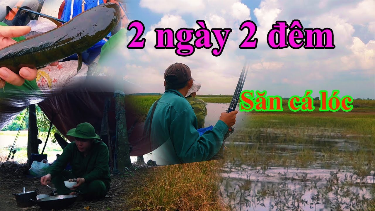 Hành trình săn cá lóc hugo tập 78