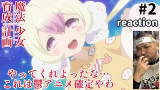 魔法少女育成計画 同時視聴